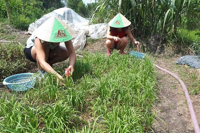 Market to Farm to Table Cooking Class in Saigon - Tips for Participants