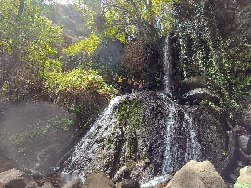 Maspalomas: Barranco De Los Cernicalos Rainforest Hike - Participant Suitability