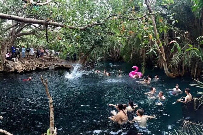 Materuni Waterfalls Coffee Tour & Chemka Hot Springs Day Trip - Inclusions and Amenities