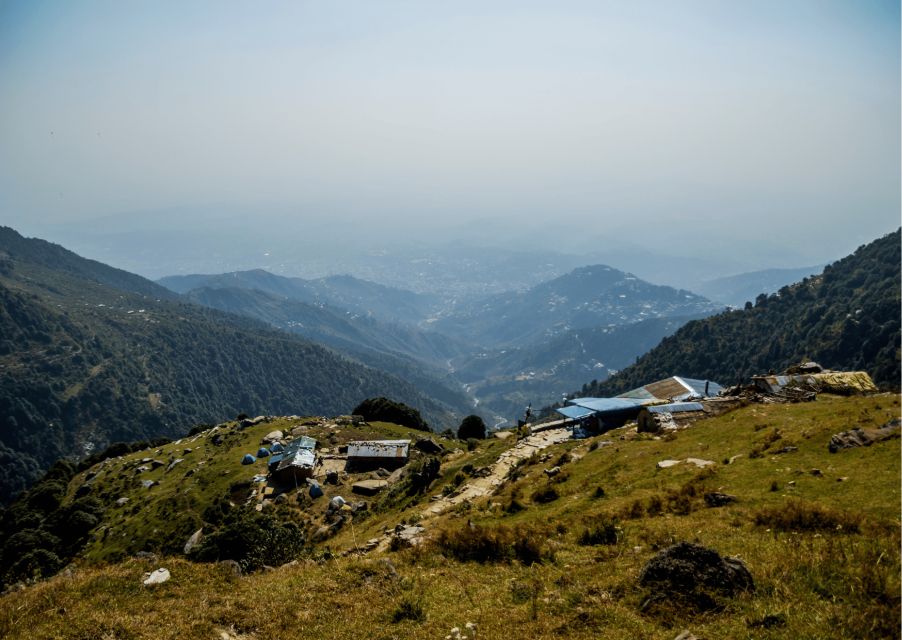 Mcleodganj Nature Trek (3 Hours Guided Walking Tour) - Tips for Participants