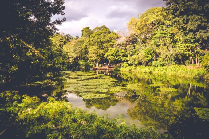 Medellin: Private City Tour - Customer Reviews and Ratings