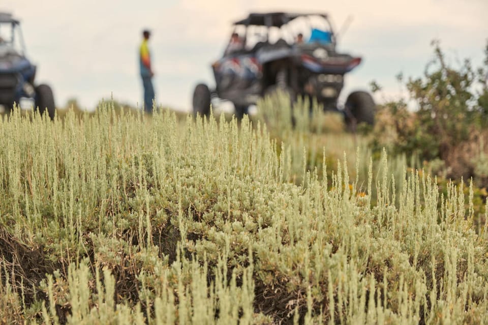 Meeker, CO: 2 Days Polaris Off-Road Vehicle Rental - Scenic Trails in White River Valley