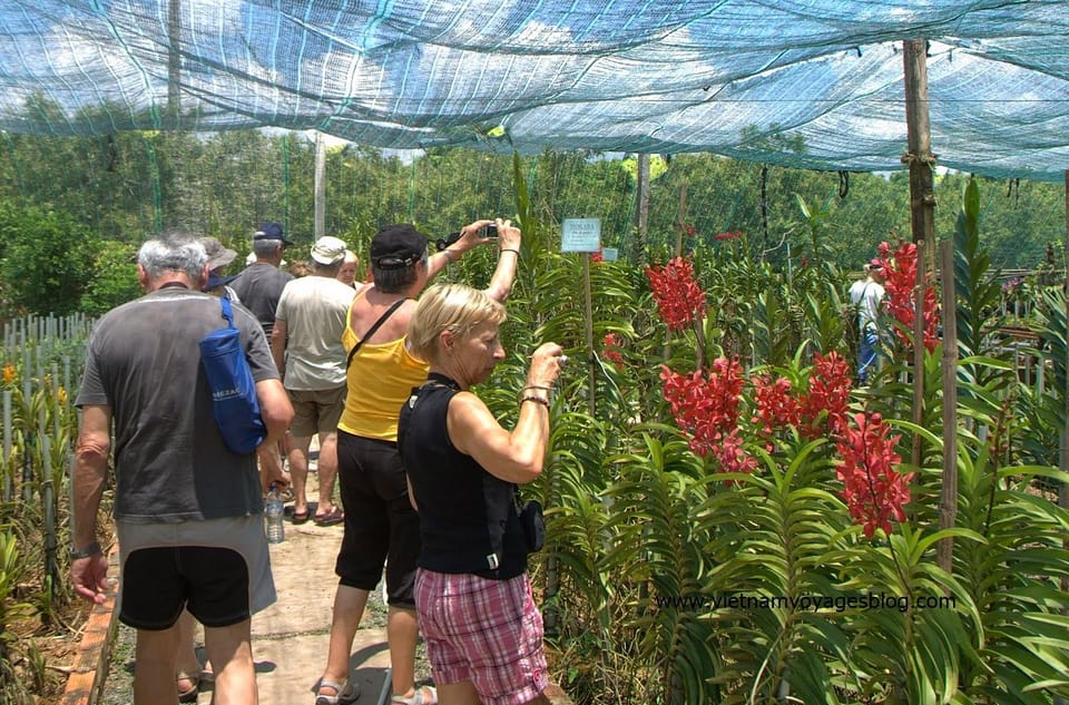 Mekong Delta 1 Day - Private Tour - Booking Information