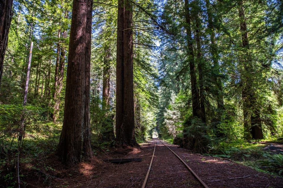 Mendocino County: Railbiking Tour Along the Noyo River - What to Bring