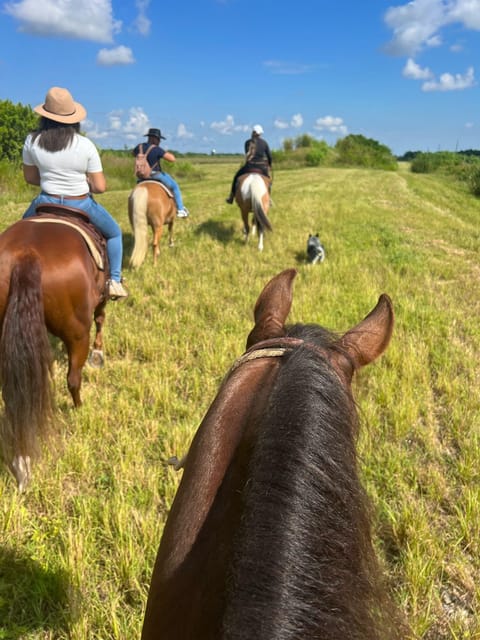 Miami: Horseback Riding - Local Riding Trails