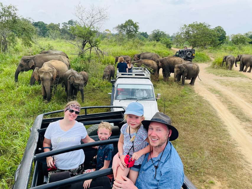 Minneriya National Park Safari in Golden Hours 4x4 Jeep - Spotting Baby Elephants