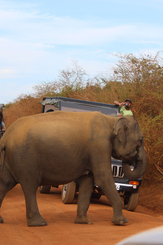 Minneriya:Jeep Safari From Kandy - Confirmation and Weather Contingencies