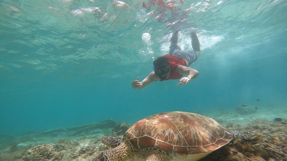 Moalboal: Island Hopping and Mantayupan Falls Day Trip - Exploring Vibrant Coral Reefs