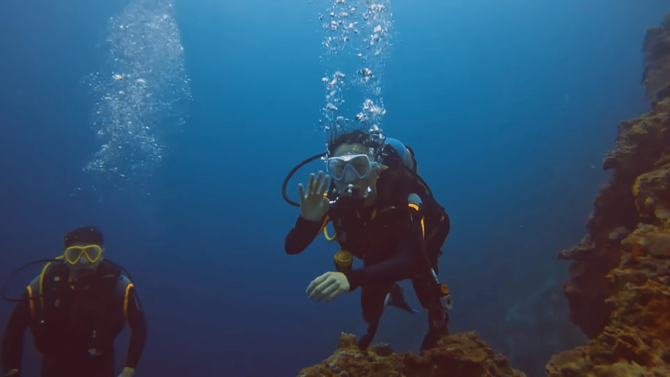 Moalboal : Scuba Diving Sardine Run and Turtle Chasing - Customer Reviews