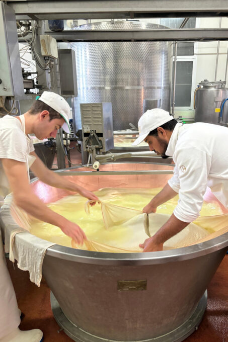 Modena Tour: Motor & Food Valley - Important Information for Travelers