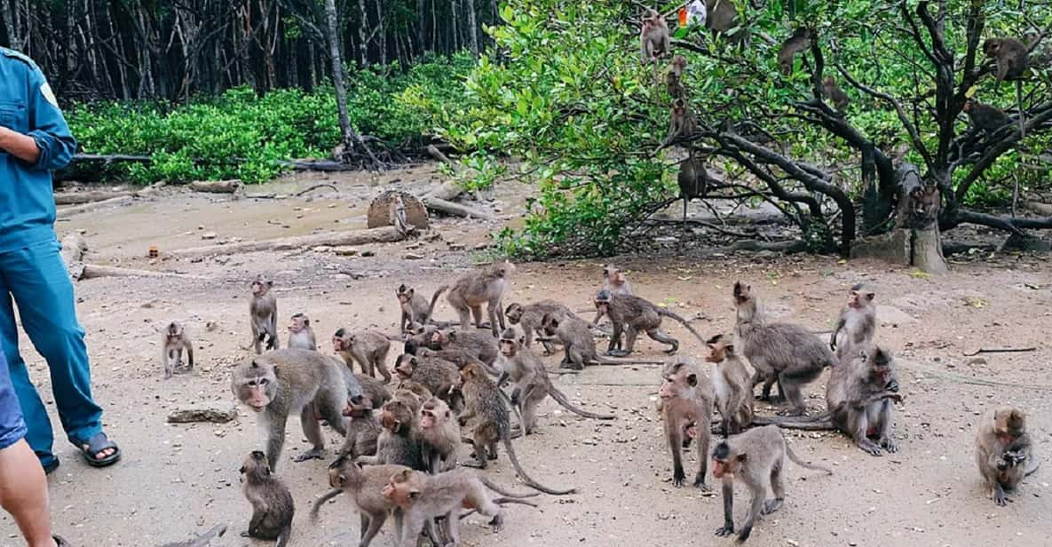 Monkey Island + Vam Sat Mangrove Forest 1 Day - Important Considerations