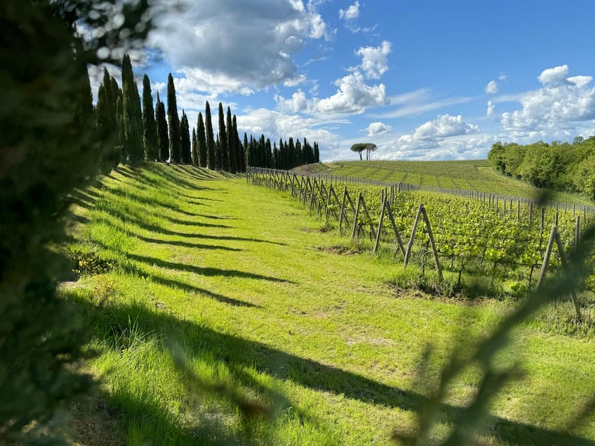 Montalcino:Unique E-Bike Experience Discovering Orcia Valley - Additional Services