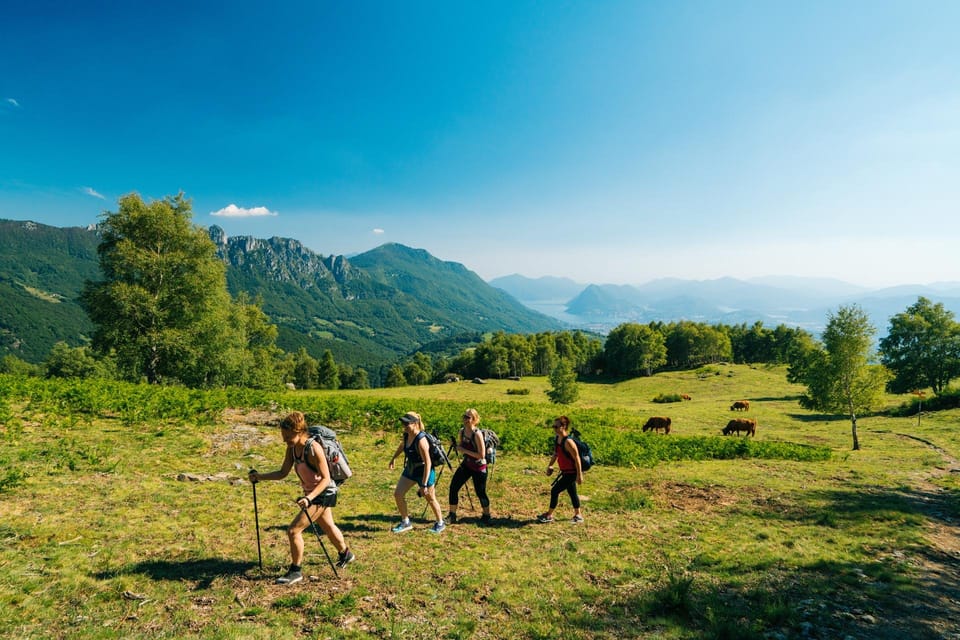 Monte Bar Hiking Tour: Discover Scenic Trails in Lugano - Important Preparation Tips