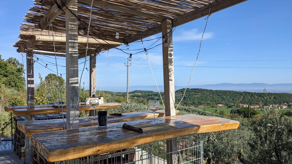 MONTEPULCIANO - ARTISAN HEROIC WINE TASTING AT THE TERRACE - Cellar and Bottaia Visit