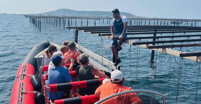 Montpellier: Half-Day Trip to Etang De Thau Lake With Lunch - Booking Information