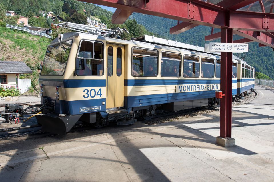 Montreux to Rochers-de-Naye: Alpine Adventure Ticket - Restrictions and Accessibility