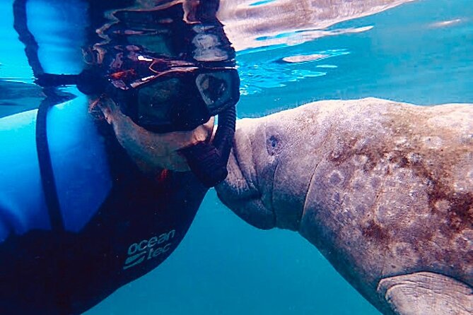 Morning Swim and Snorkel With Manatees-Guided Crystal River Tour - Booking Process