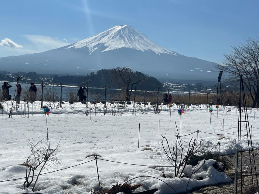 Mount Fuji and Lake Kawaguchiko Tour With English Guide - Frequently Asked Questions