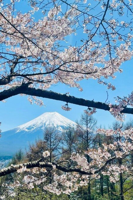 Mount Fuji and Lake Kawaguchiko With Pick-Up & Drop-Off - Booking Information