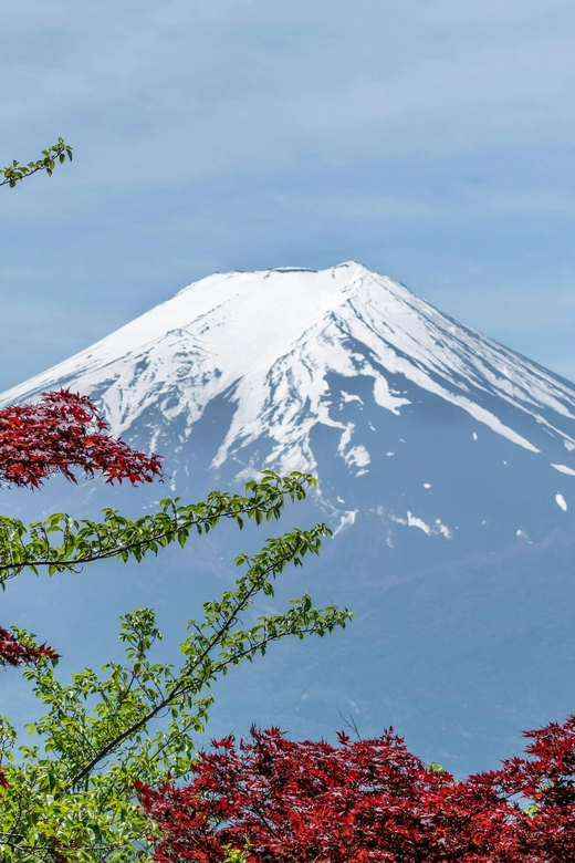 Mount Fuji Full Day Private Tour With English Speaking Guide - Booking Information