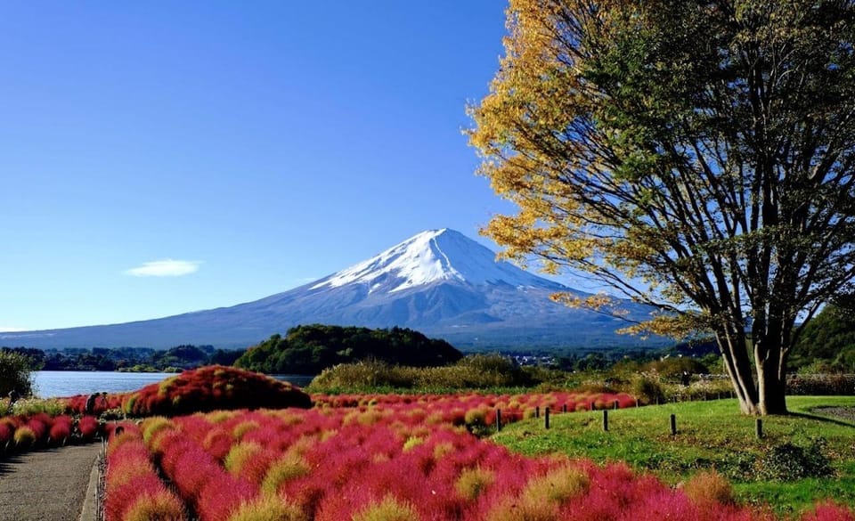 Mount Fuji Full Day Private Tour With English Speaking Guide - Frequently Asked Questions