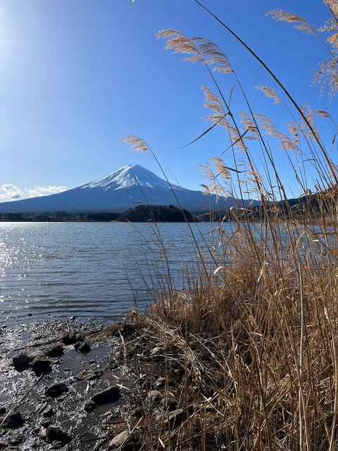 Mountain Fuji Instagram-Worthy Day Trip - Booking Information