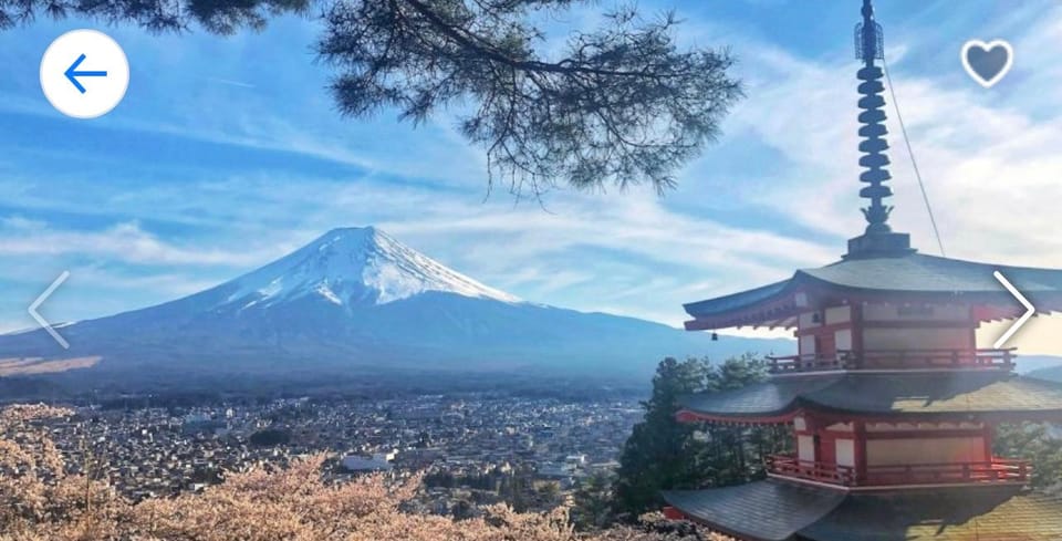 Mt Fuji and Hakone Private Tour With English Speaking Guide - Important Information