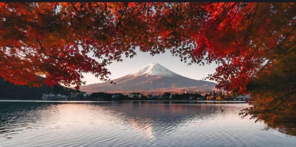 Mt Fuji, Oshino Hakai, Lake Kawaguchi, Lake Ashi 1 Day Tour - Pickup and Drop-off Locations