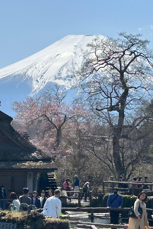 Mt.Fuji Tour, Tokyo / Yokohama ⇒ Tokyo, 2-4 Guests - Important Considerations