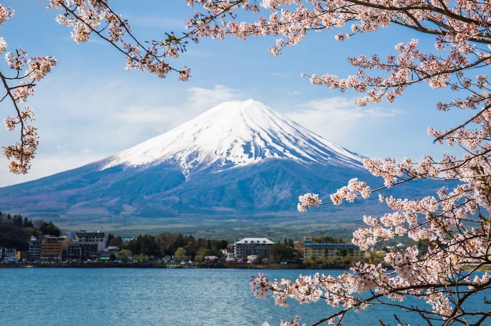 Mt. Fuji Tour With an English Speaking Driver - Contact Information