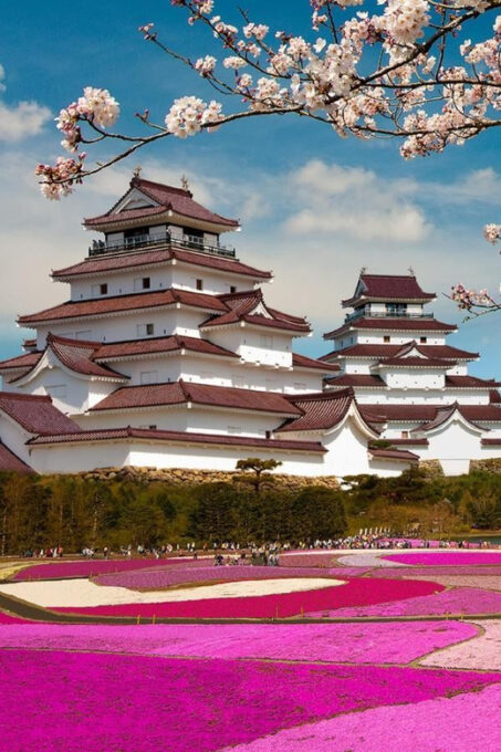 Mt Fuji Tour With Experienced English Driver - Booking and Cancellation Policy