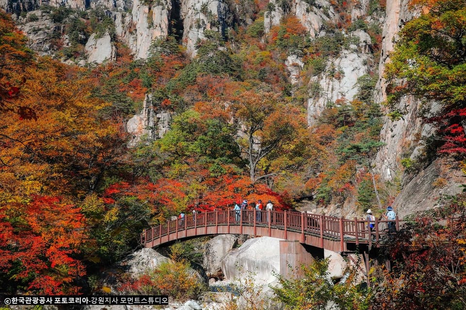 Mt. Seorak + Nami Island (+Rail Bike Optional) - Contact and Additional Information