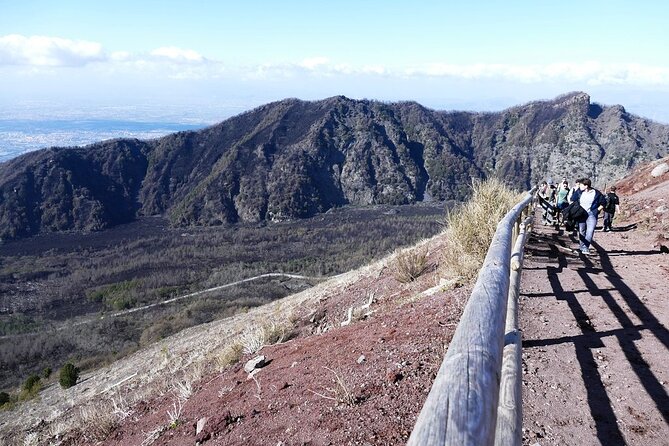 Mt. Vesuvius and Pompeii Full-Day Tour From Sorrento - Guest Reviews and Feedback