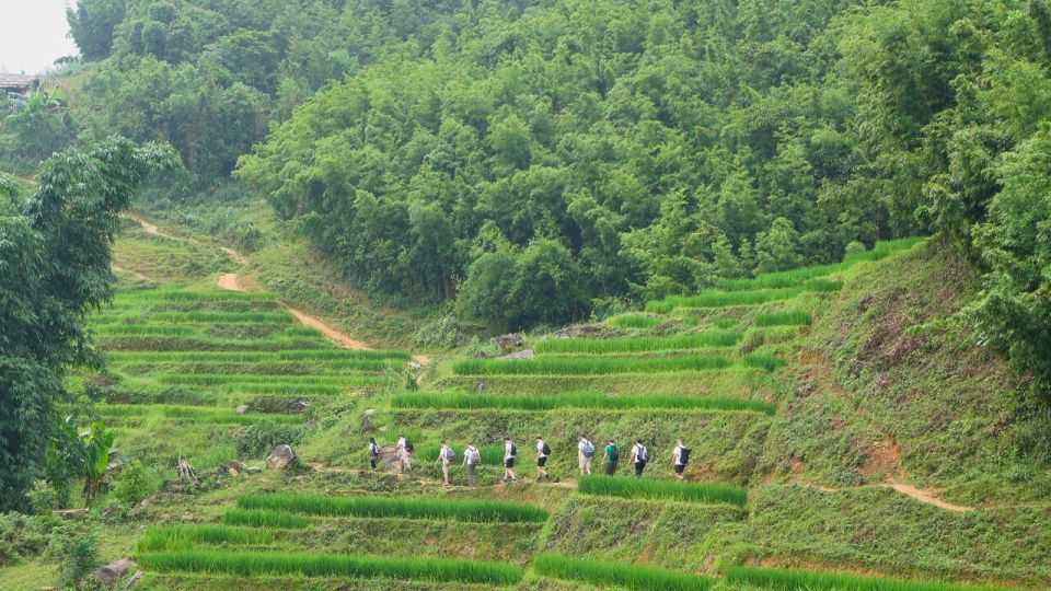 Muong Hoa Valley: Rice Fields, Villages, Mountain Views - Inclusions of the Tour