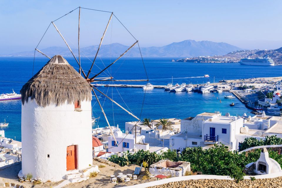 Mykonos Delight: a Perfect Day Trip From Your Cruise Ship - Inclusions and Accessibility