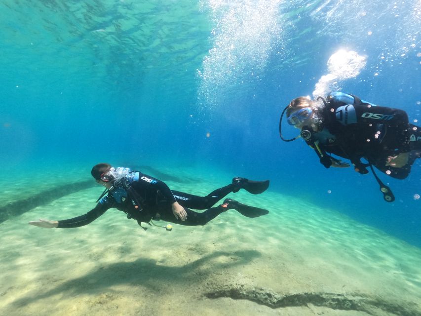 Mylopotas: Boat Cruise and Shipwreck Scuba Diving - Diving Experience Level