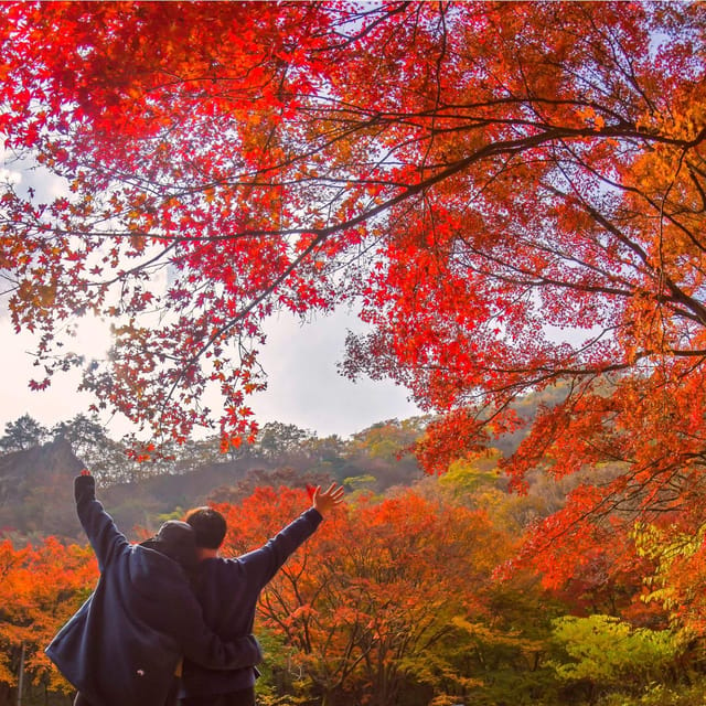 Naejangsan: Highlight of a Korean Autumn Day Trip From Seoul - Transfer Option to Busan