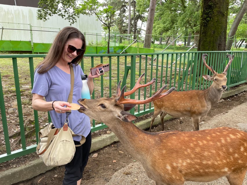 Nara: 1 Day Local Guide– Big Buddha, Deer, Shrine, Old Town - Accessibility Features