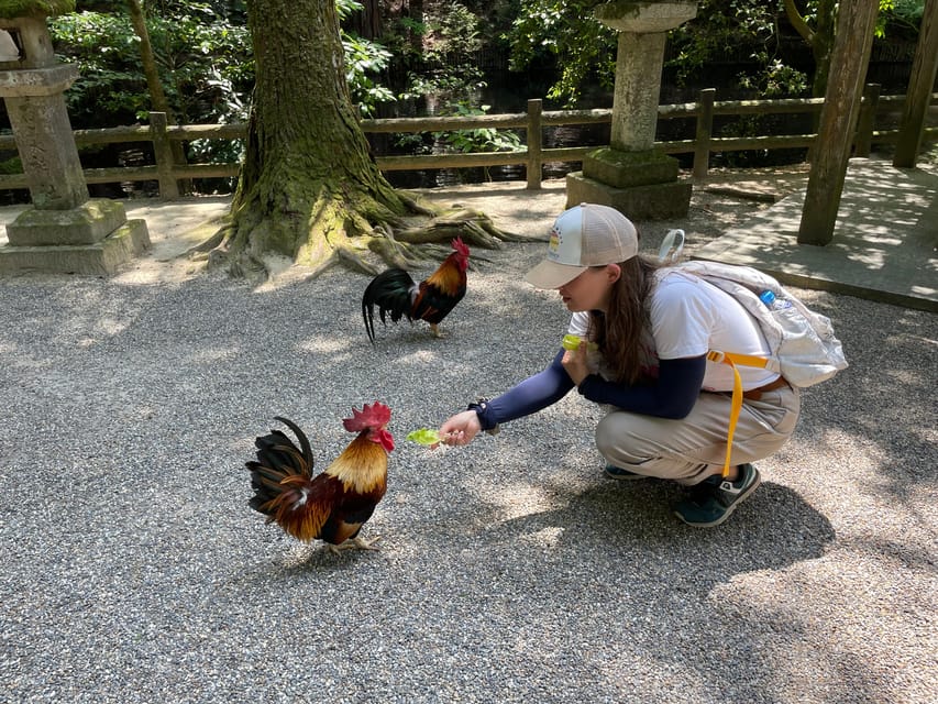 Nara: Discover Countryside– Landscape and Mysterious History - Tips for a Great Experience