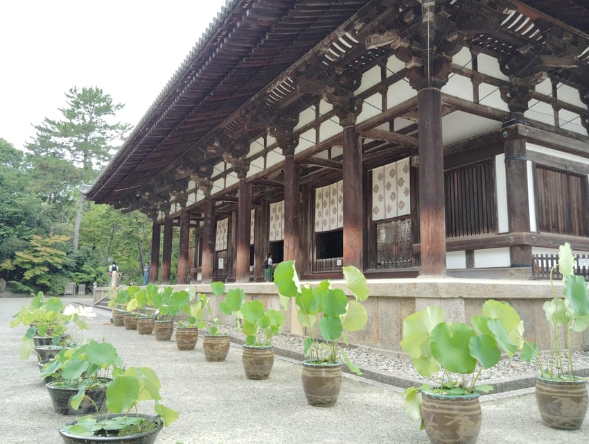 Nara: Yakushi-ji & Toshodai-ji - Timeless in 3 Hours - Cancellation Policy