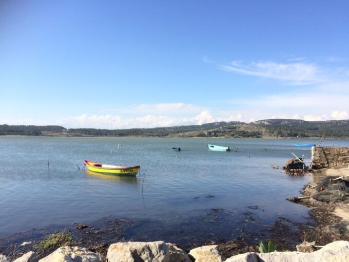 Narbonne, Gruissan & Lagrasse Village . Day Tour - Guided Tour Experience