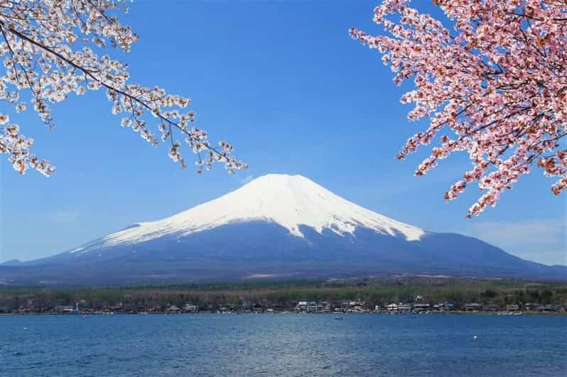 Narita Airport（NRT）to/from Mount Fuji Private Transfer - Vehicle Options