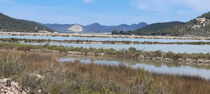 NATURE WALK + BEACH, YOGA & OPTION OF HEALTHY BIO PICKNICK - Suitability and Restrictions
