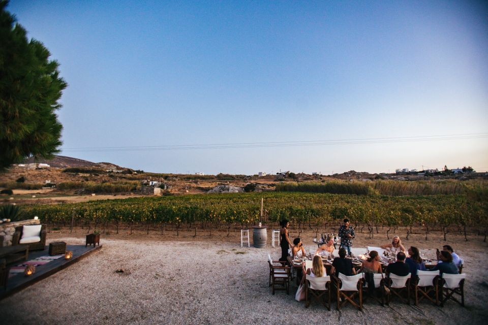 Naxos: Full Moon Dinner and Wine Tasting in a Vineyard - Logistics and Accessibility