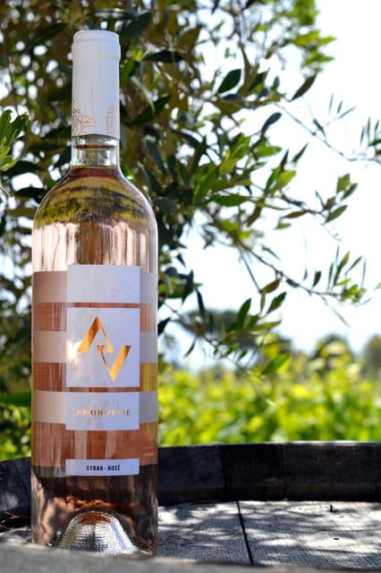 Near Rome: Wine Tasting in Exclusive Location - Accessibility and Tour Guides