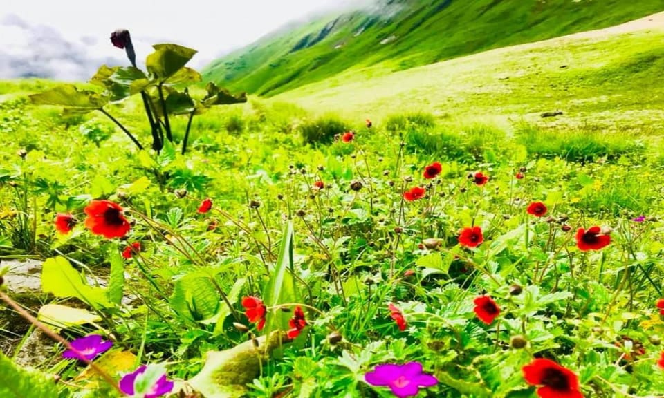 Nepal: Makalu Base Camp Trek - Best Time to Trek