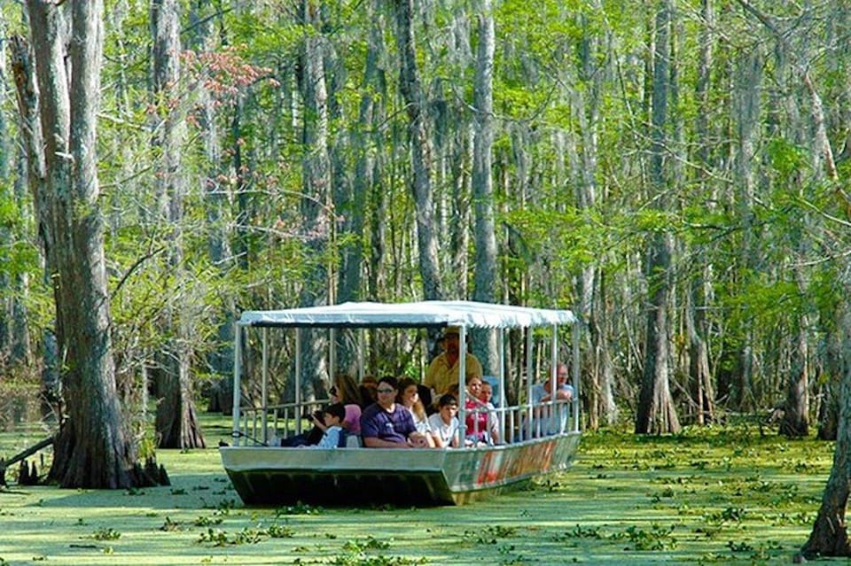 New Orleans: Honey Island Swamp and Bayou Boat Tour - Booking and Availability