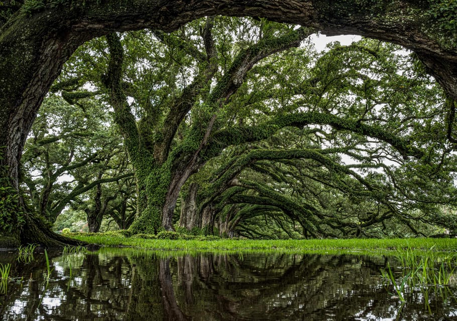 New Orleans: Oak Alley Plantation Half Day Tour - Amenities and Comforts