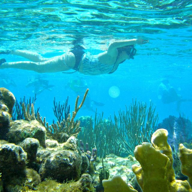 Nha Trang: Snorkeling Tour at Mun Island Marine Park - Pricing Information