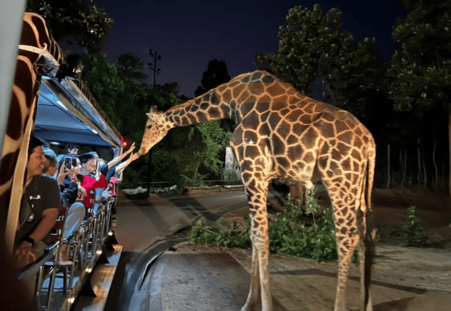 Night Safari Ticket (Pick up Service) - Visit Duration